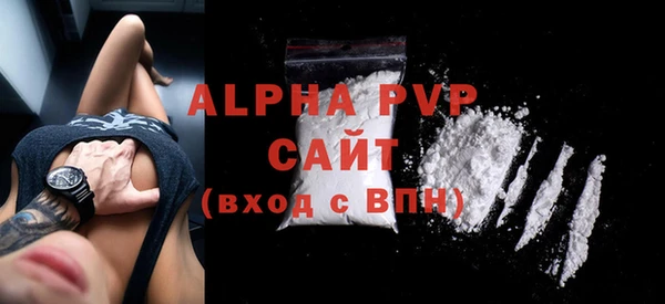 индика Ладушкин