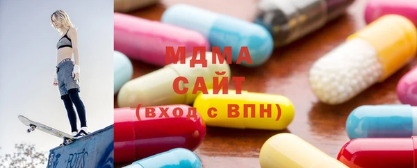 индика Ладушкин