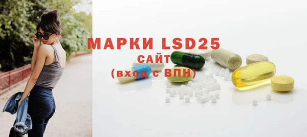 индика Ладушкин