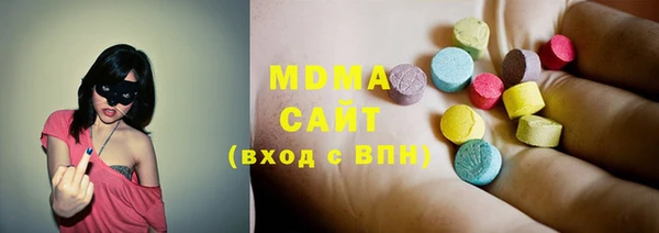 индика Ладушкин