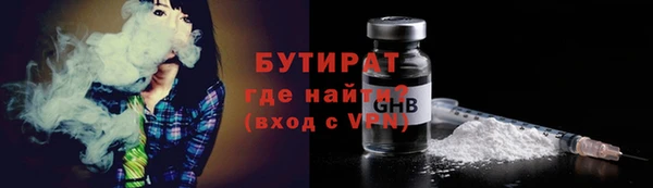 индика Ладушкин