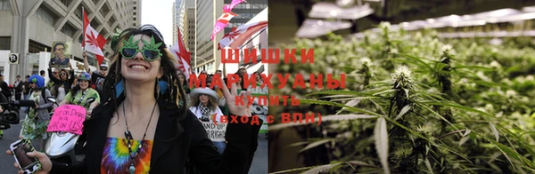 индика Ладушкин