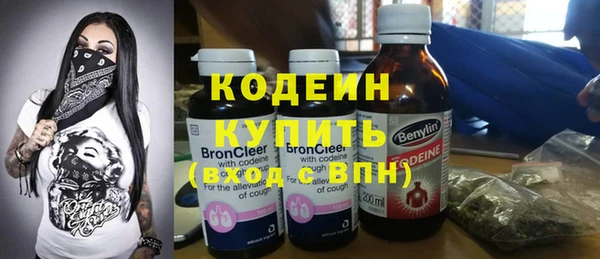 индика Ладушкин
