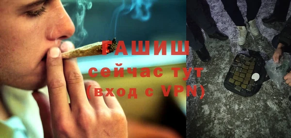 индика Ладушкин
