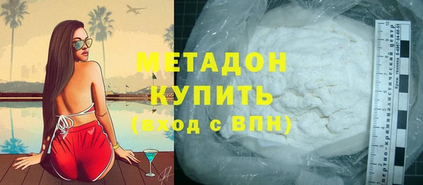 индика Ладушкин