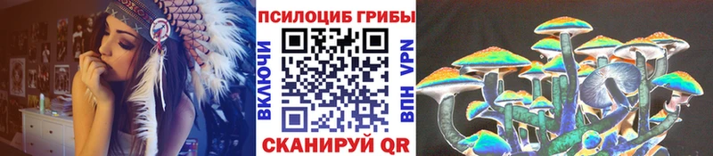 Псилоцибиновые грибы GOLDEN TEACHER  Шилка 