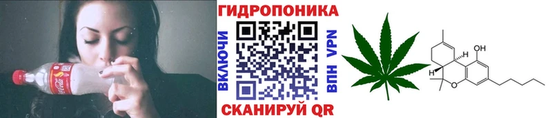 Марихуана OG Kush  что такое   Шилка 
